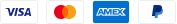 Payment logo