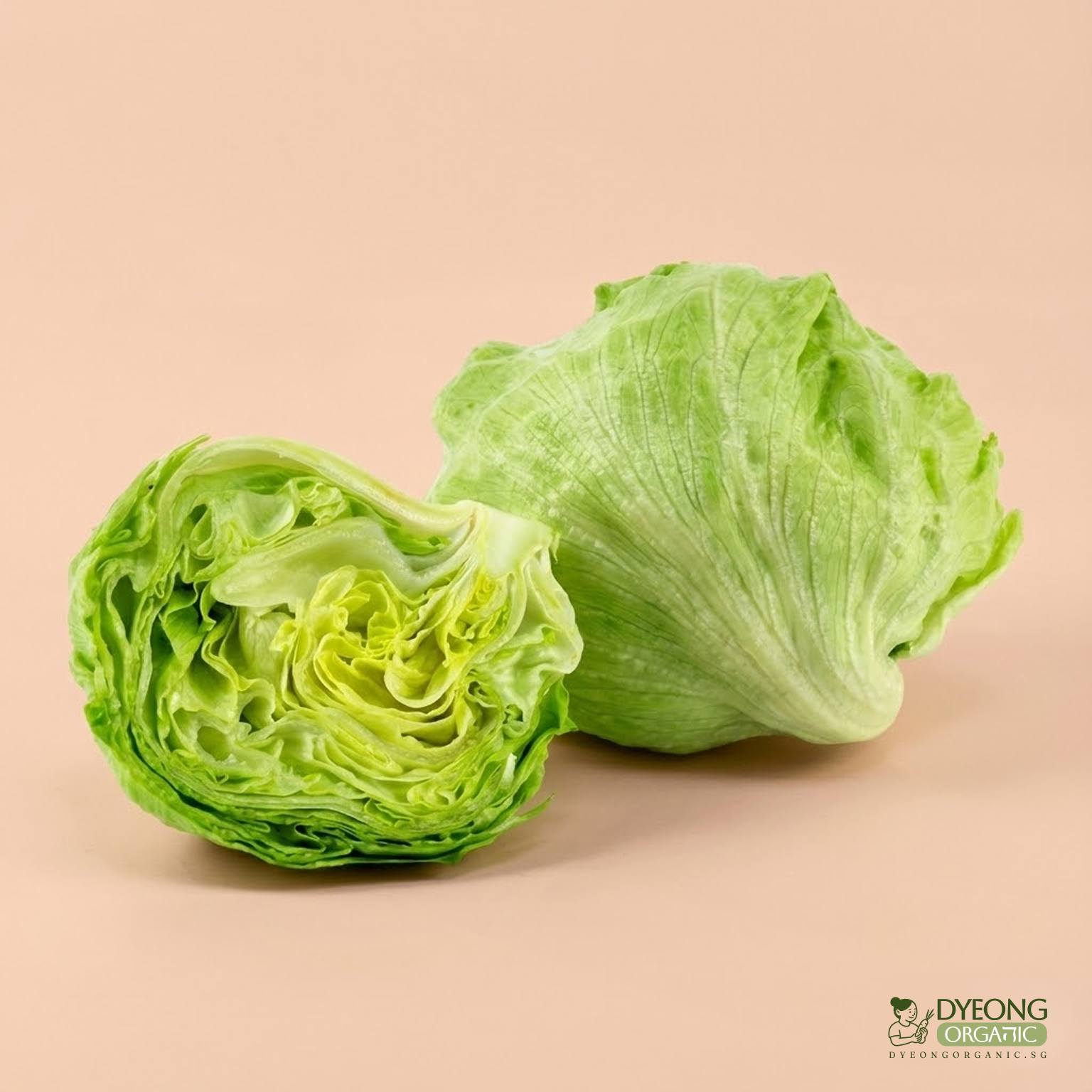 Organic Lettuce - Iceberg (350g) Australia