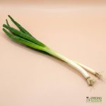 Organic Spring Onions (100g) Australia