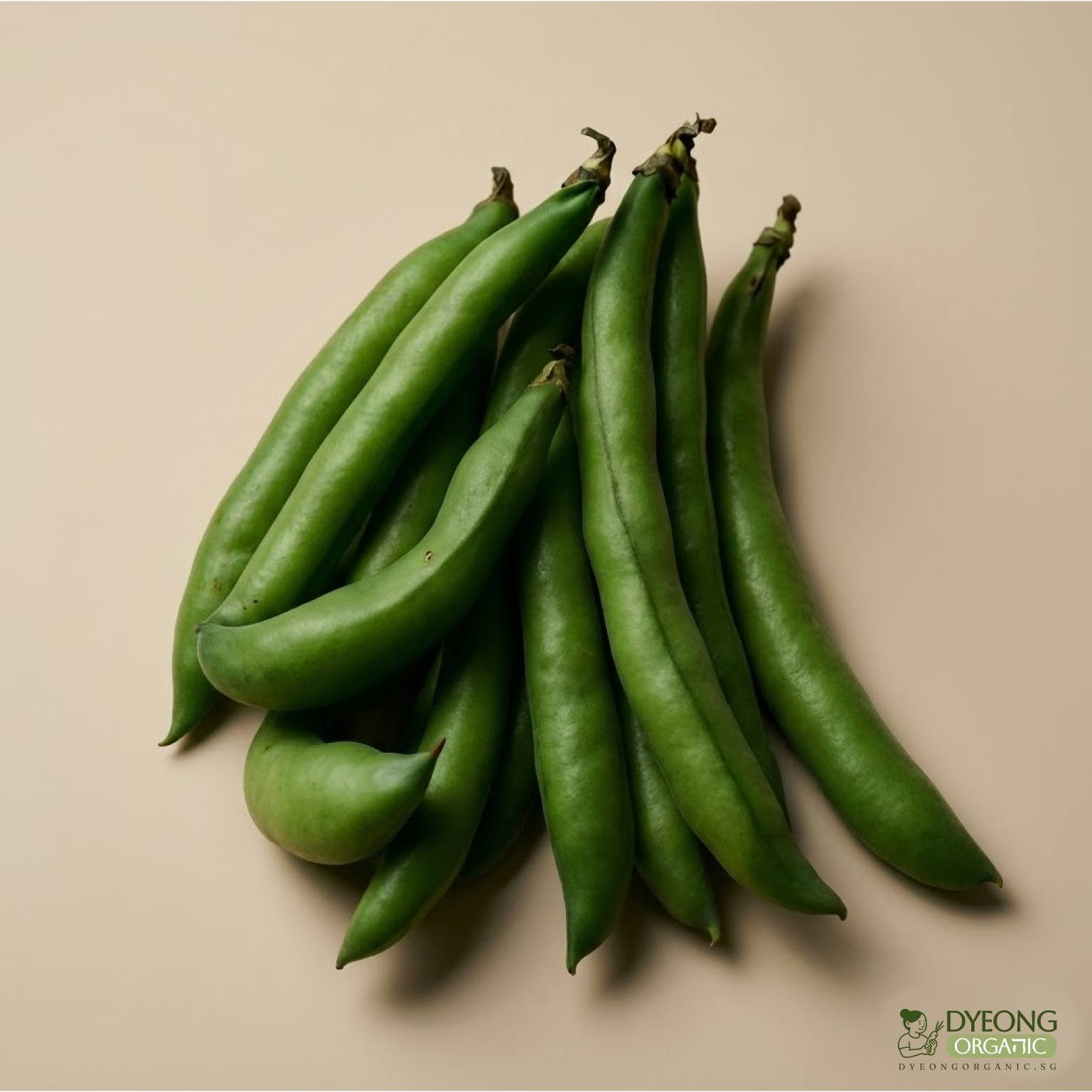 Organic Beans - Broad (100g) Australia