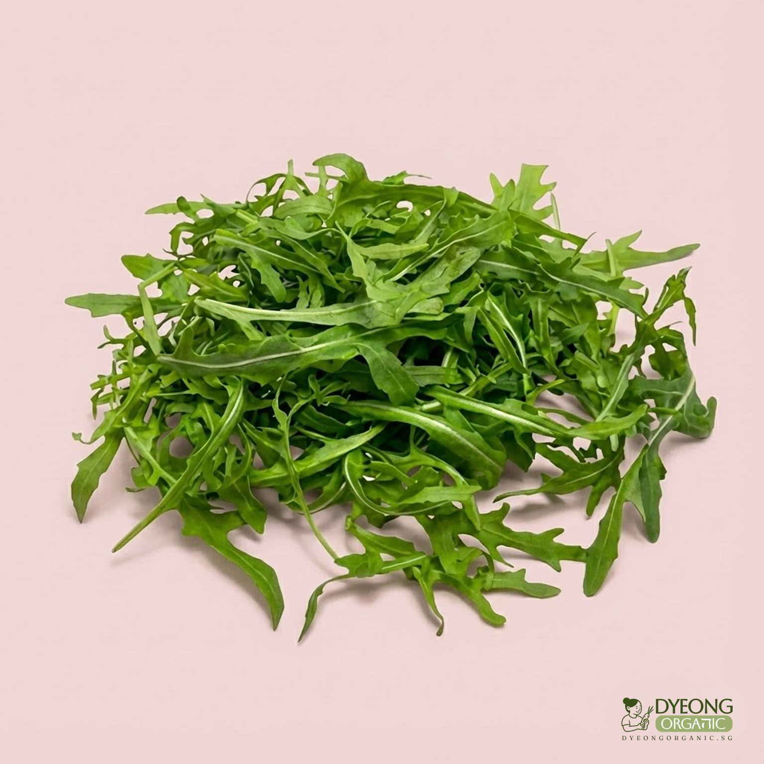 Organic Salad - Rocket (100g) Australia