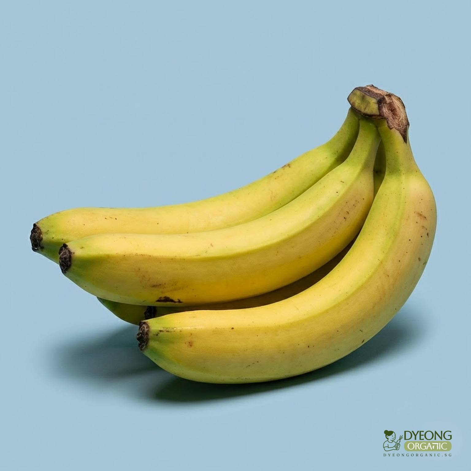 Organic Banana - Cavendish (500g) Australia