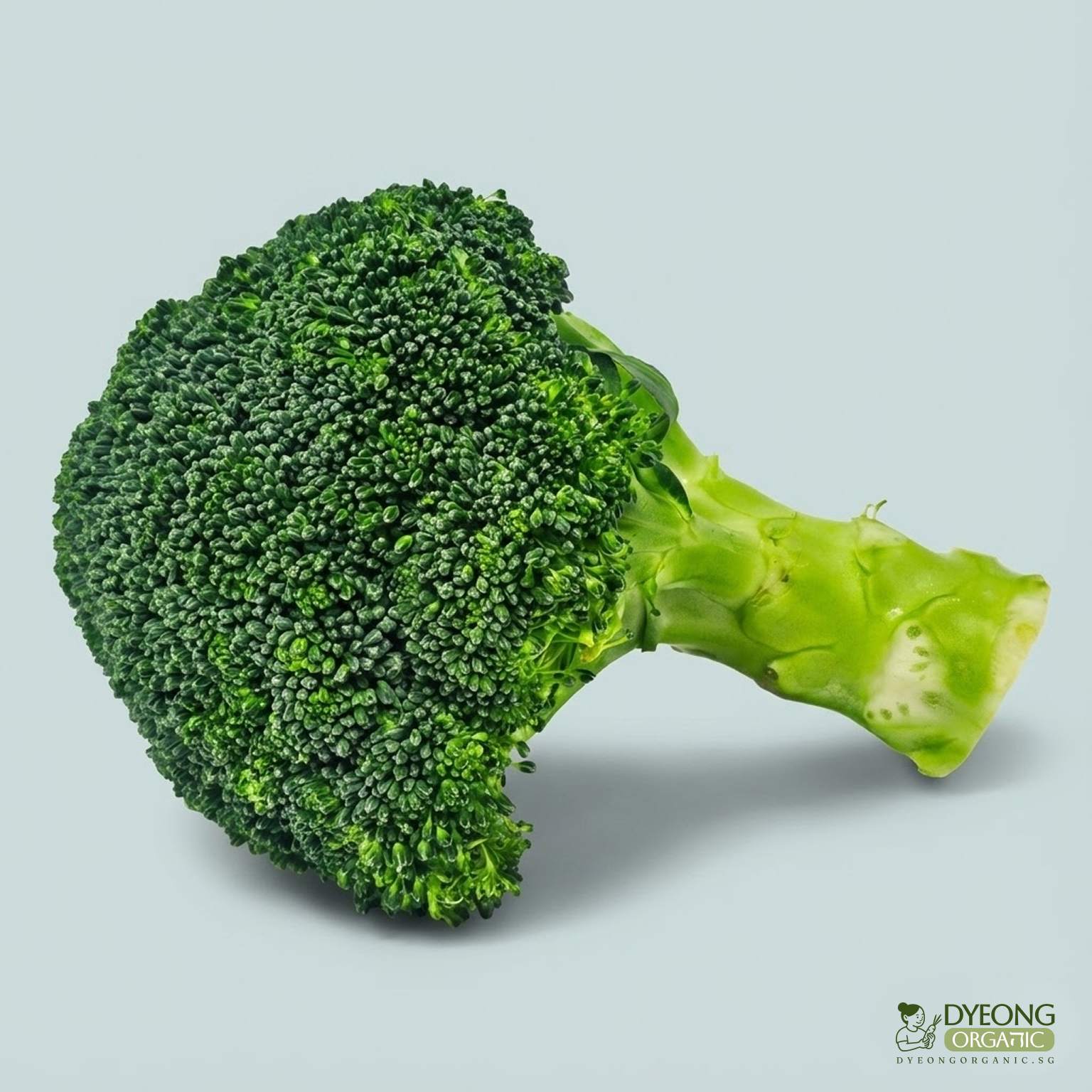 Organic Broccoli (each) Australia