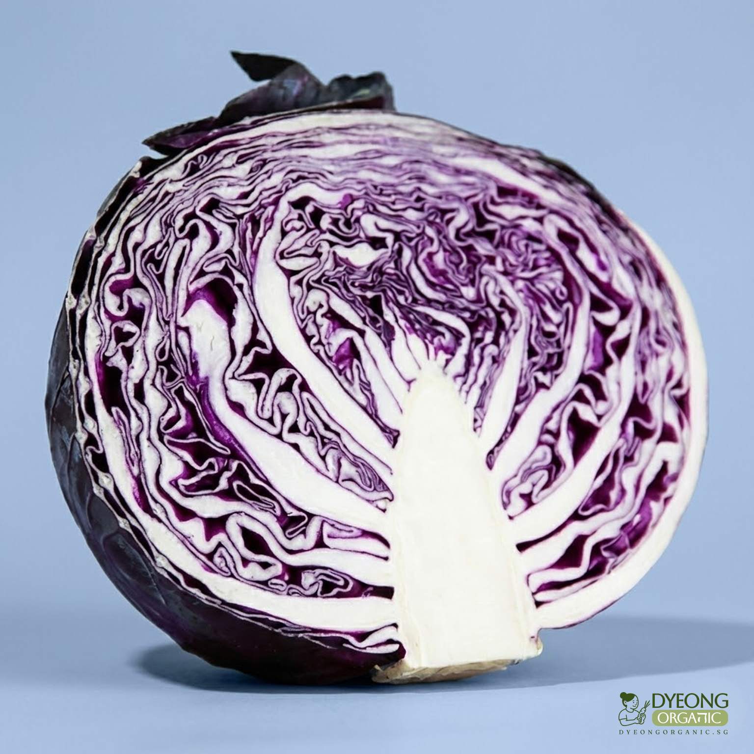Organic Cabbage - Red (500g-cut) Australia