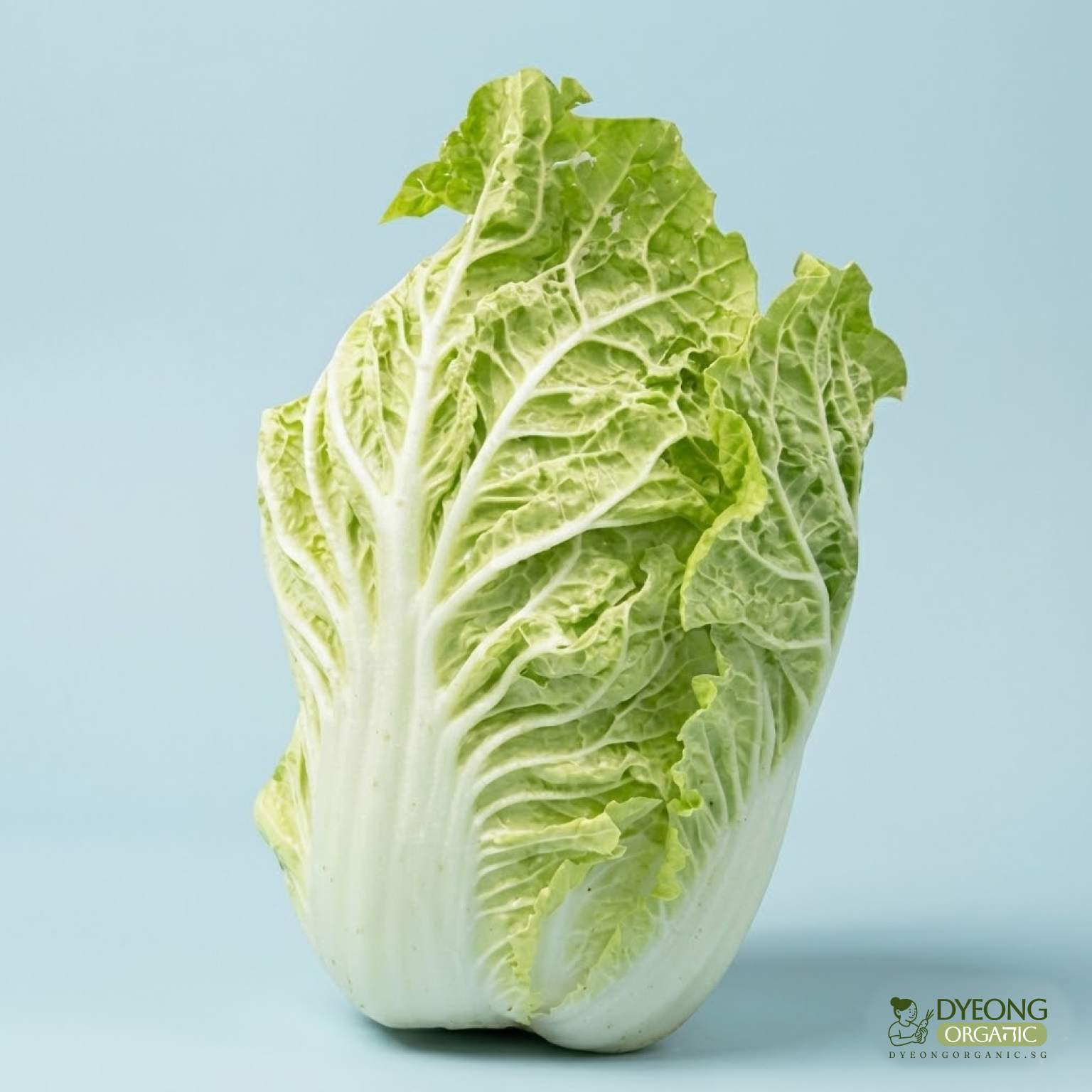 Organic Cabbage - Wombok (500g) Australia
