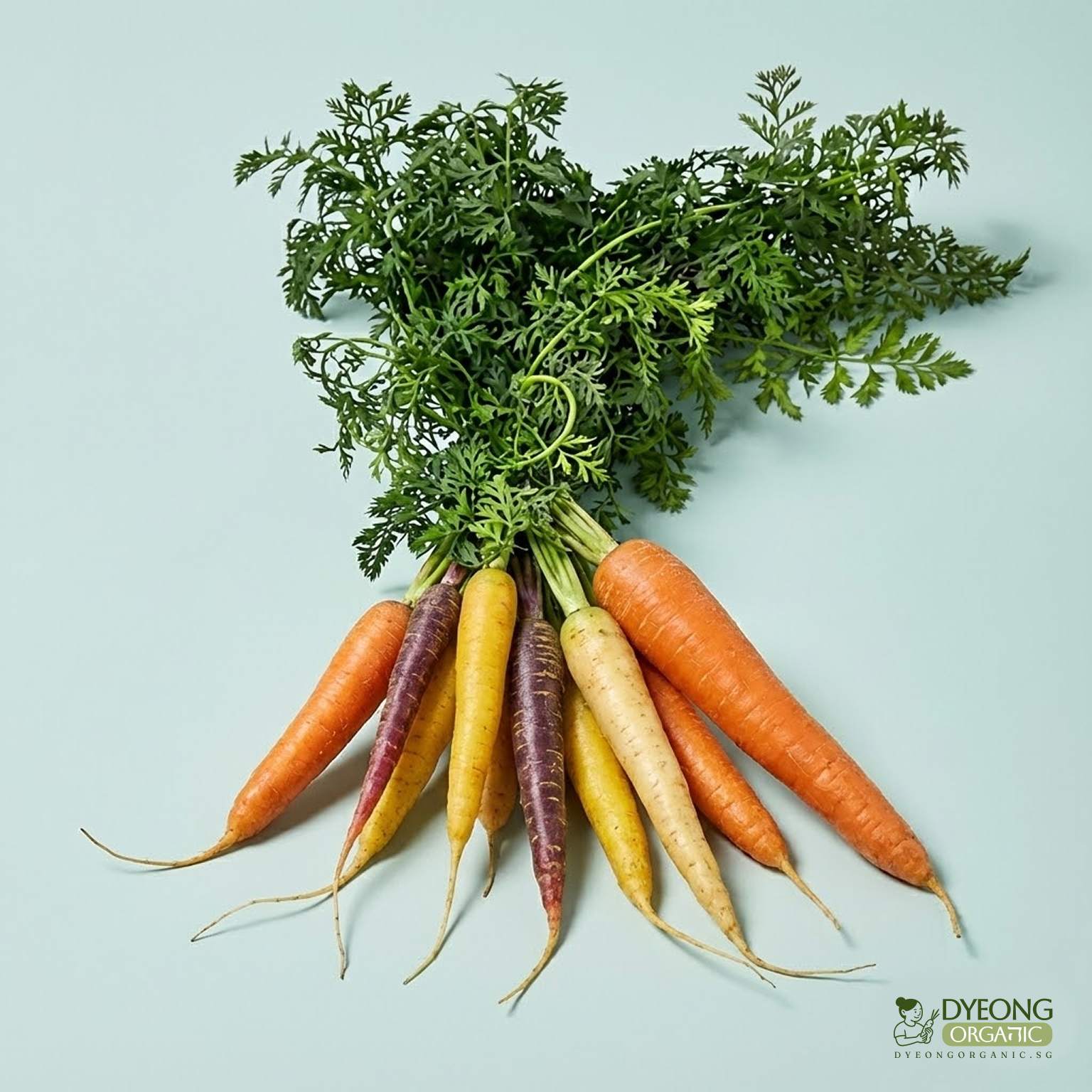 Organic Carrots - Dutch (250g) Australia