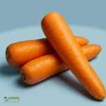 Organic Carrots (500g) Australia