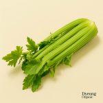Organic Celery (750g) Australia