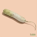 Organic Daikon (250g) Australia