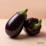 Organic Eggplant (each) Australia