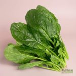 Organic Spinach - English (250g) Australia