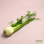 Organic Fennel (bulb) Australia