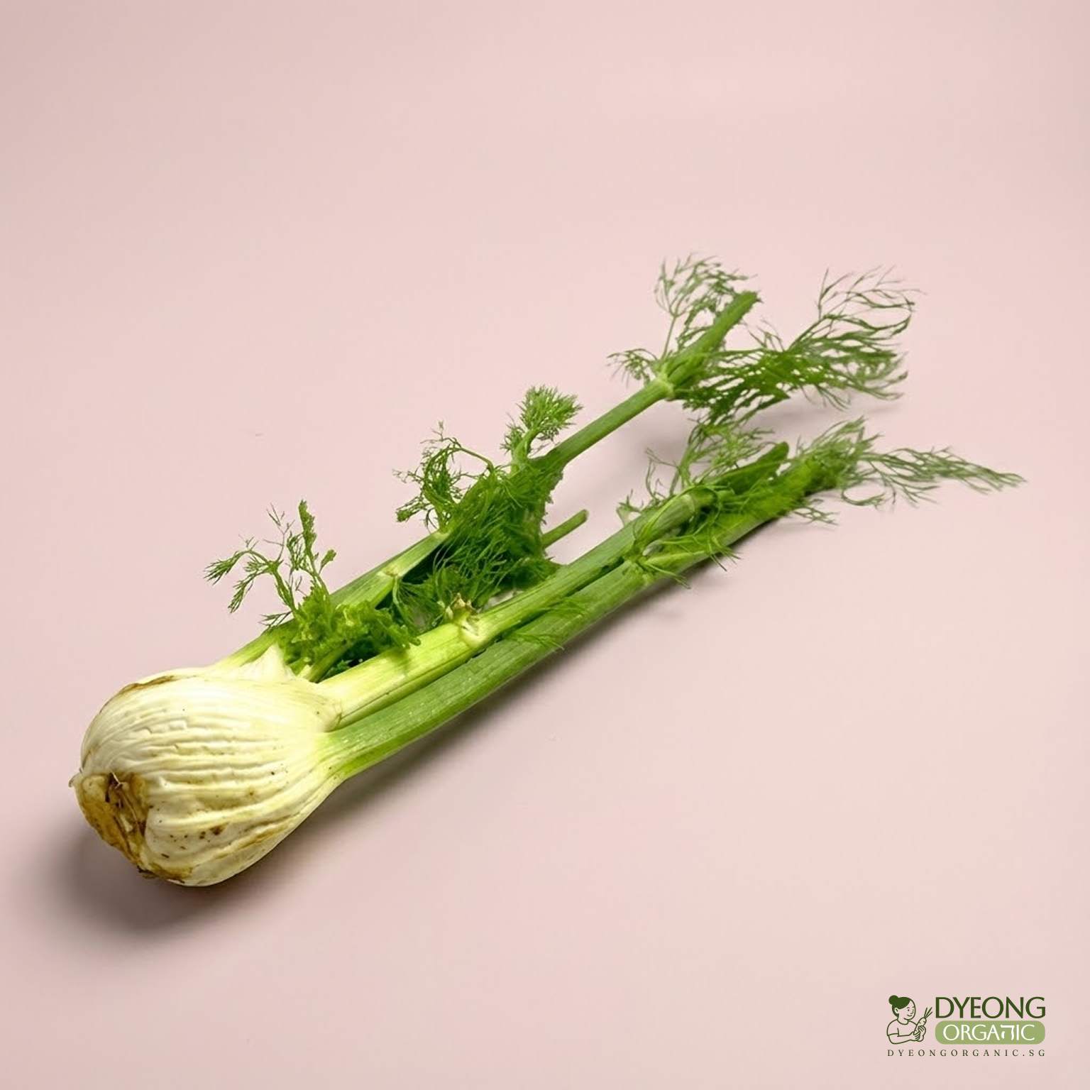 Organic Fennel (bulb) Australia