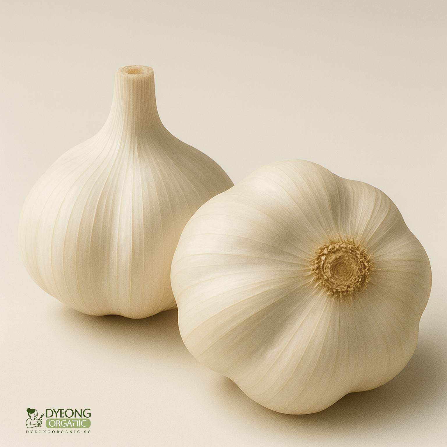 Organic Garlic (100g) Australia