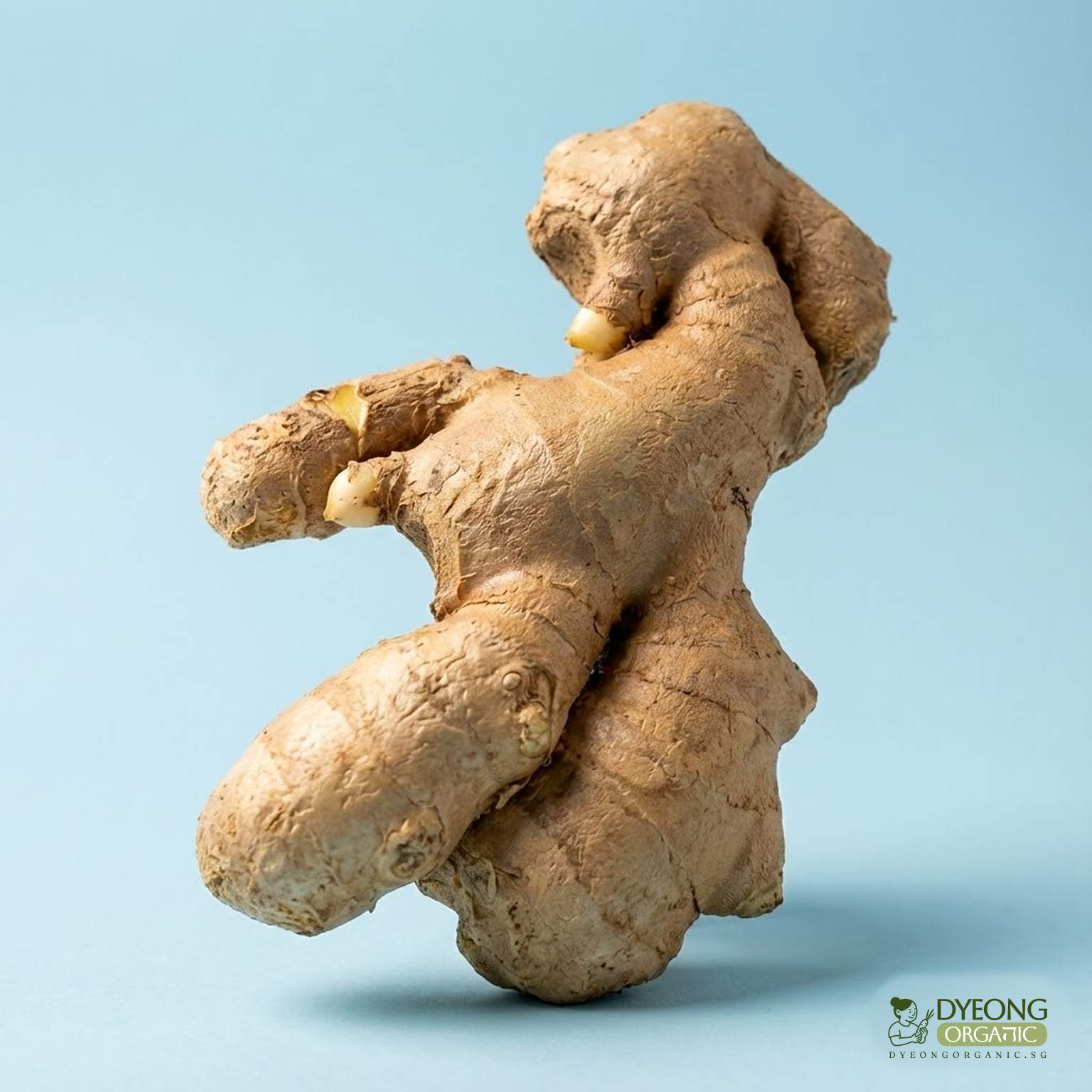 Organic Ginger (100g) Australia