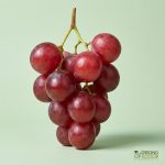Organic Grapes (250g) Australia