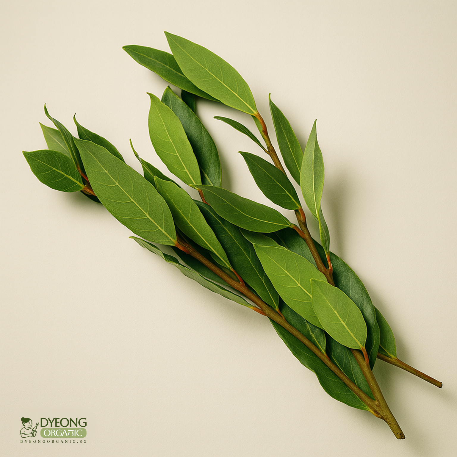 Organic Herbs - Bay Leaves (25g) Australia