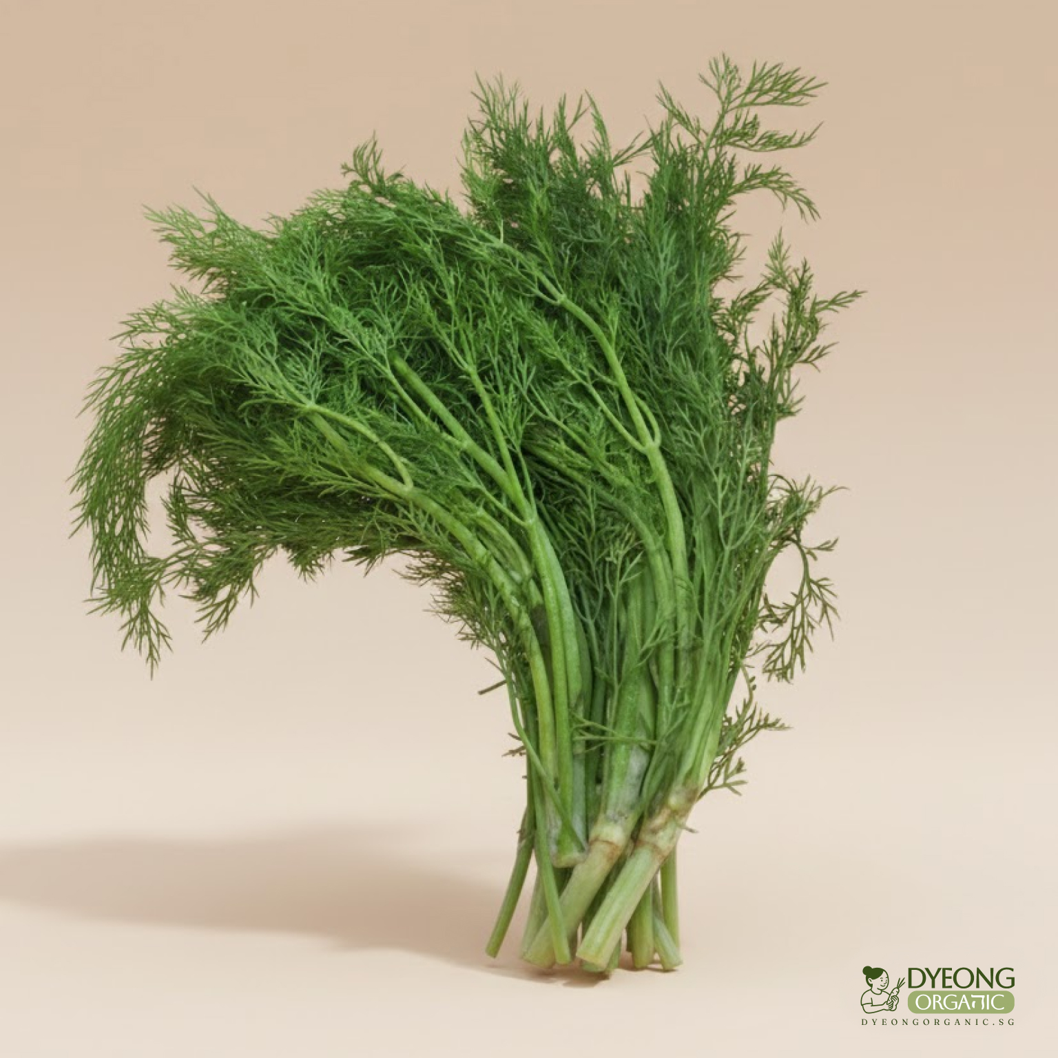 Organic Herbs - Dill (25g) Australia