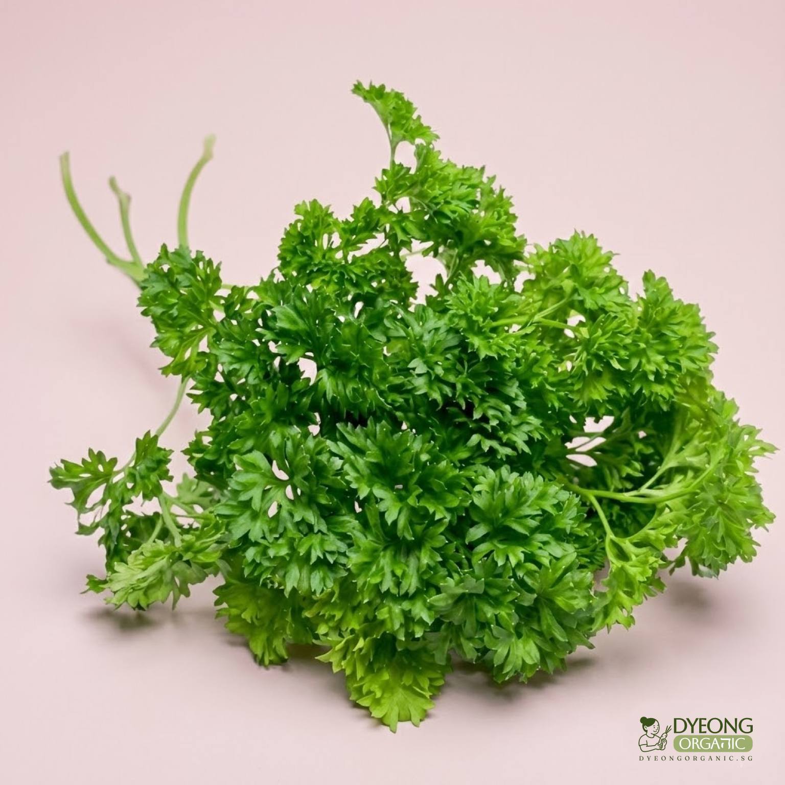 Organic Herbs - Parsley, Curly (25g) Australia