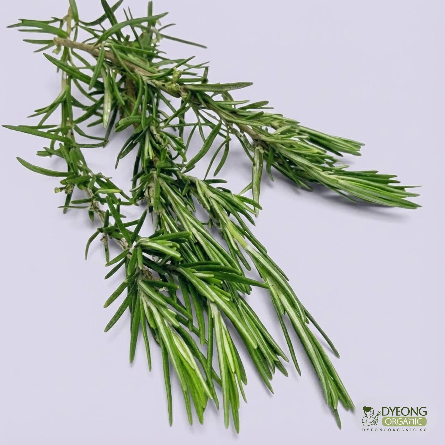 Organic Herbs - Rosemary (25g) Australia