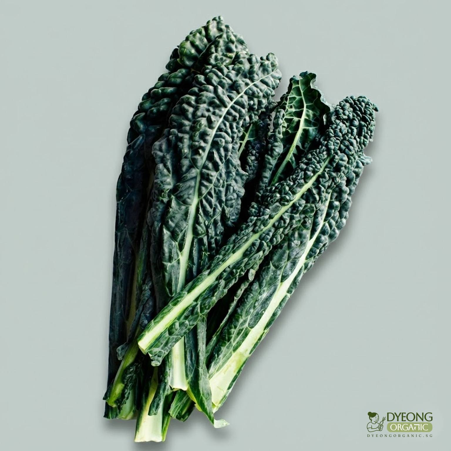 Organic Kale - Dino (400g) Australia