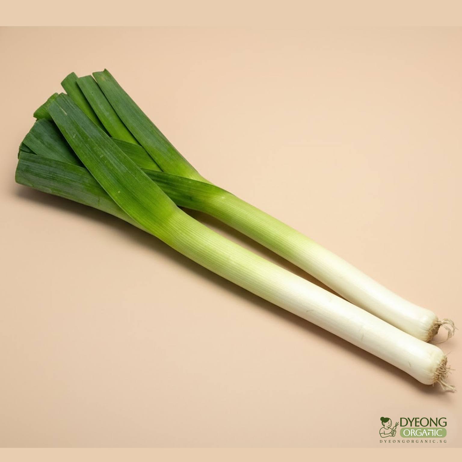 Organic Leek (250g) Australia