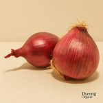 Organic Onions - Brown (250g) Australia