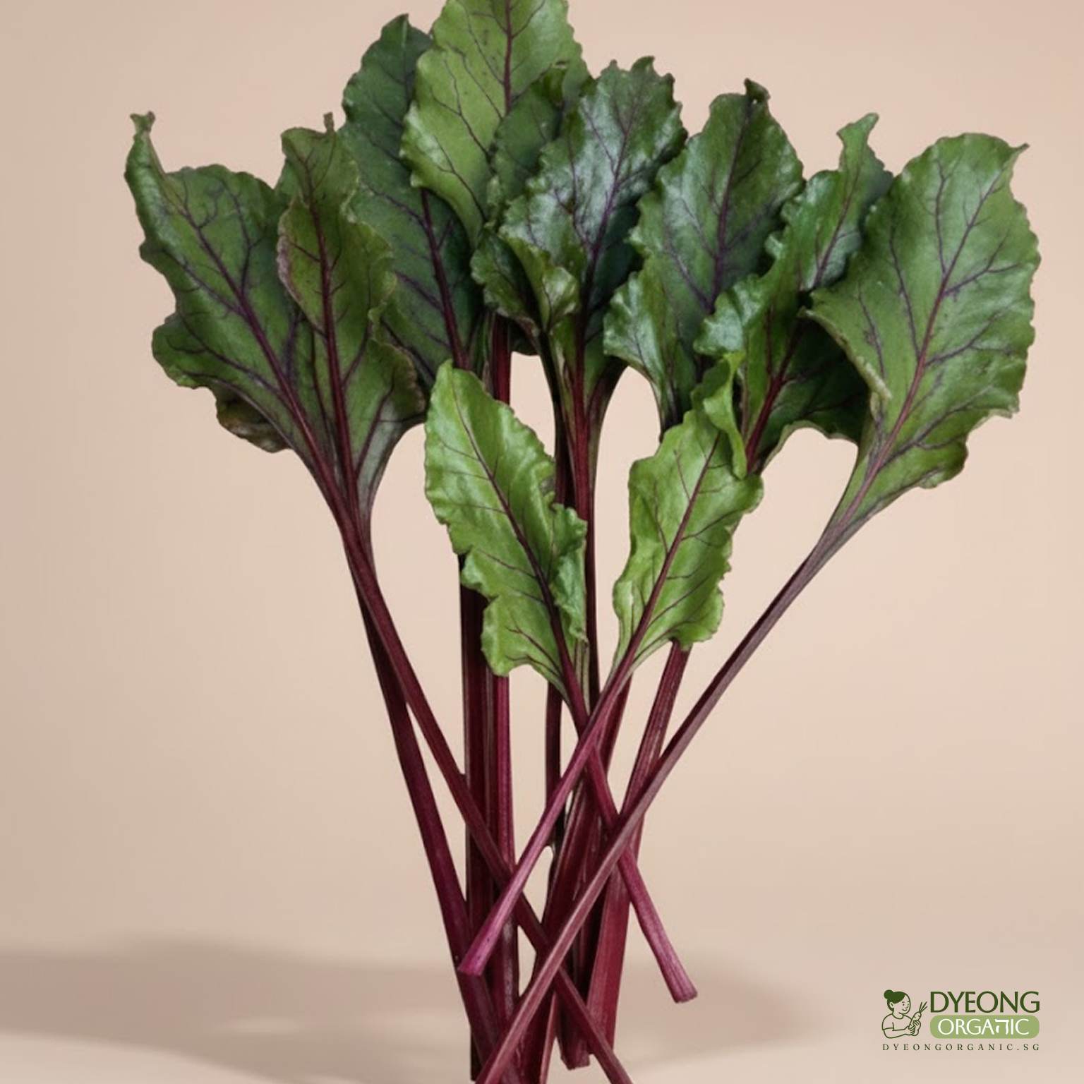 Organic Beetroot - Leaves (100g) Australia