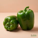 Organic Capsicum - Green (each) Australia