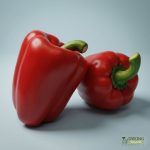 Organic Capsicum - Red (each) Australia
