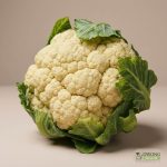 Organic Cauliflower (500g) Australia