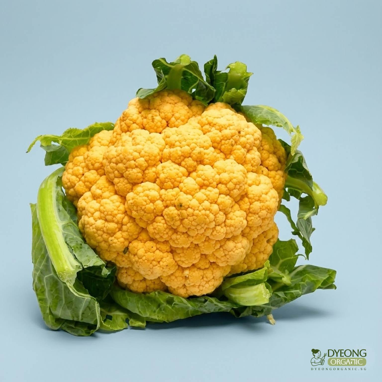 Organic Cauliflower - Orange (500g) Australia