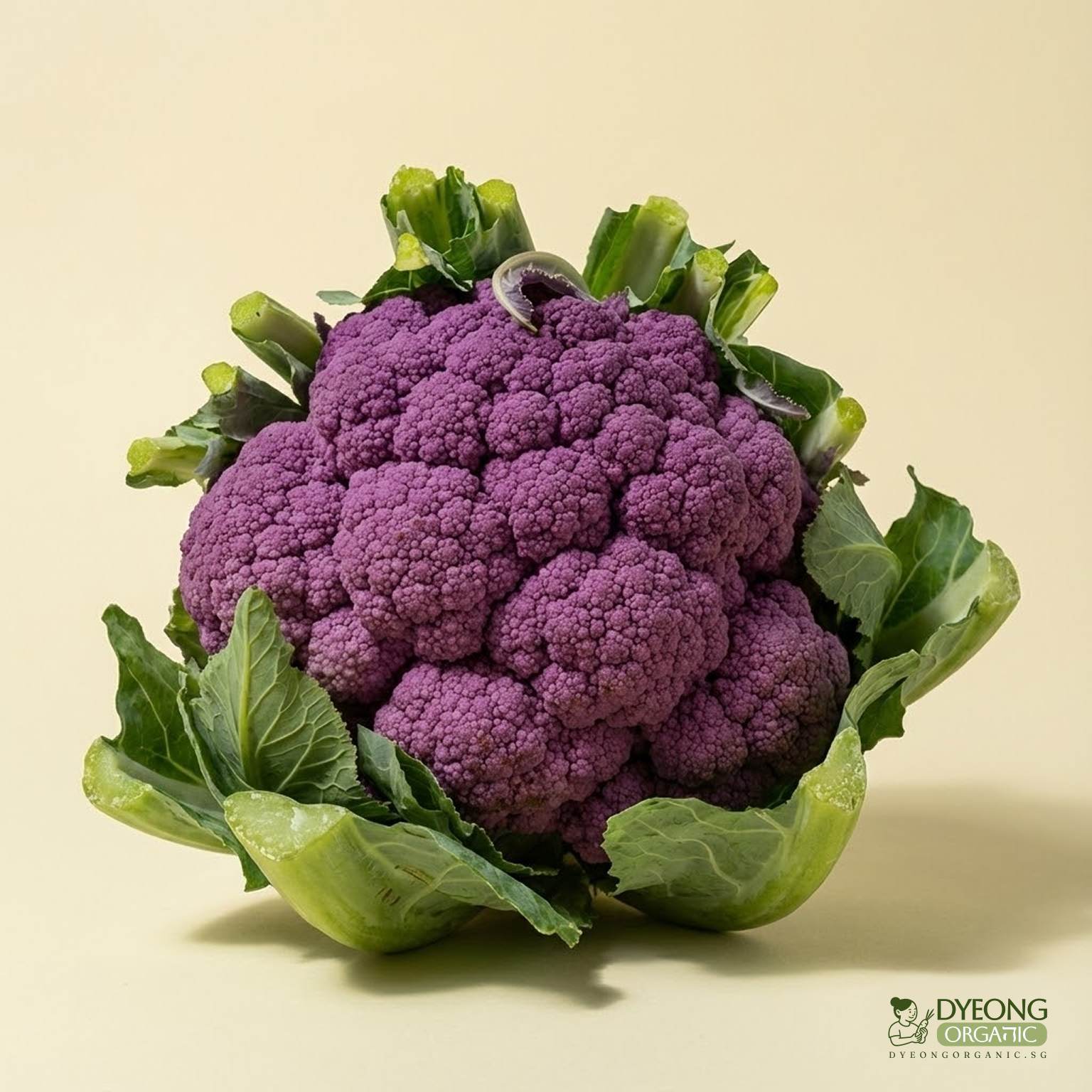 Organic Cauliflower - Purple (500g) Australia