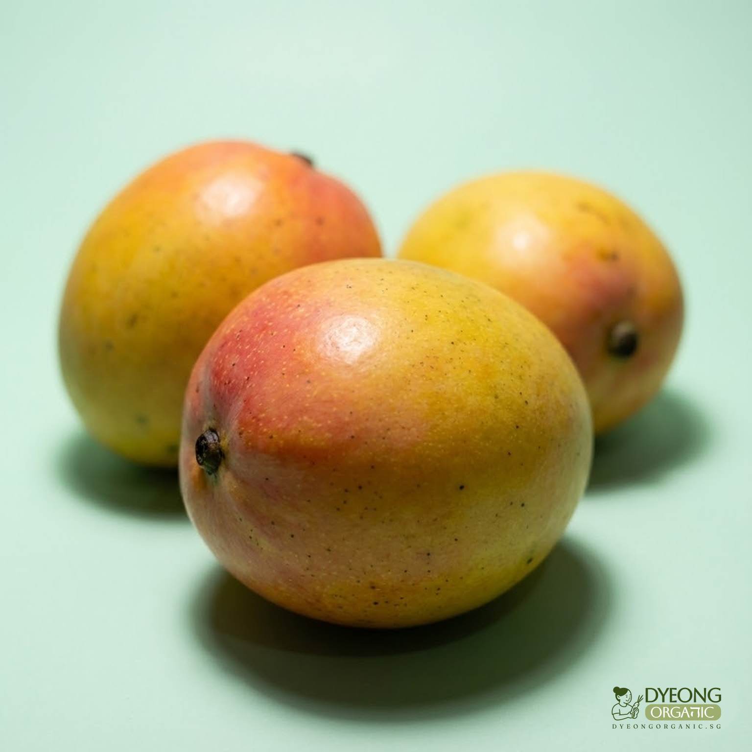 Organic Mango (each) Australia