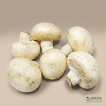 Organic Mushroom - White Button (100g) Australia