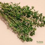 Organic Herbs - Thyme (25g) Australia