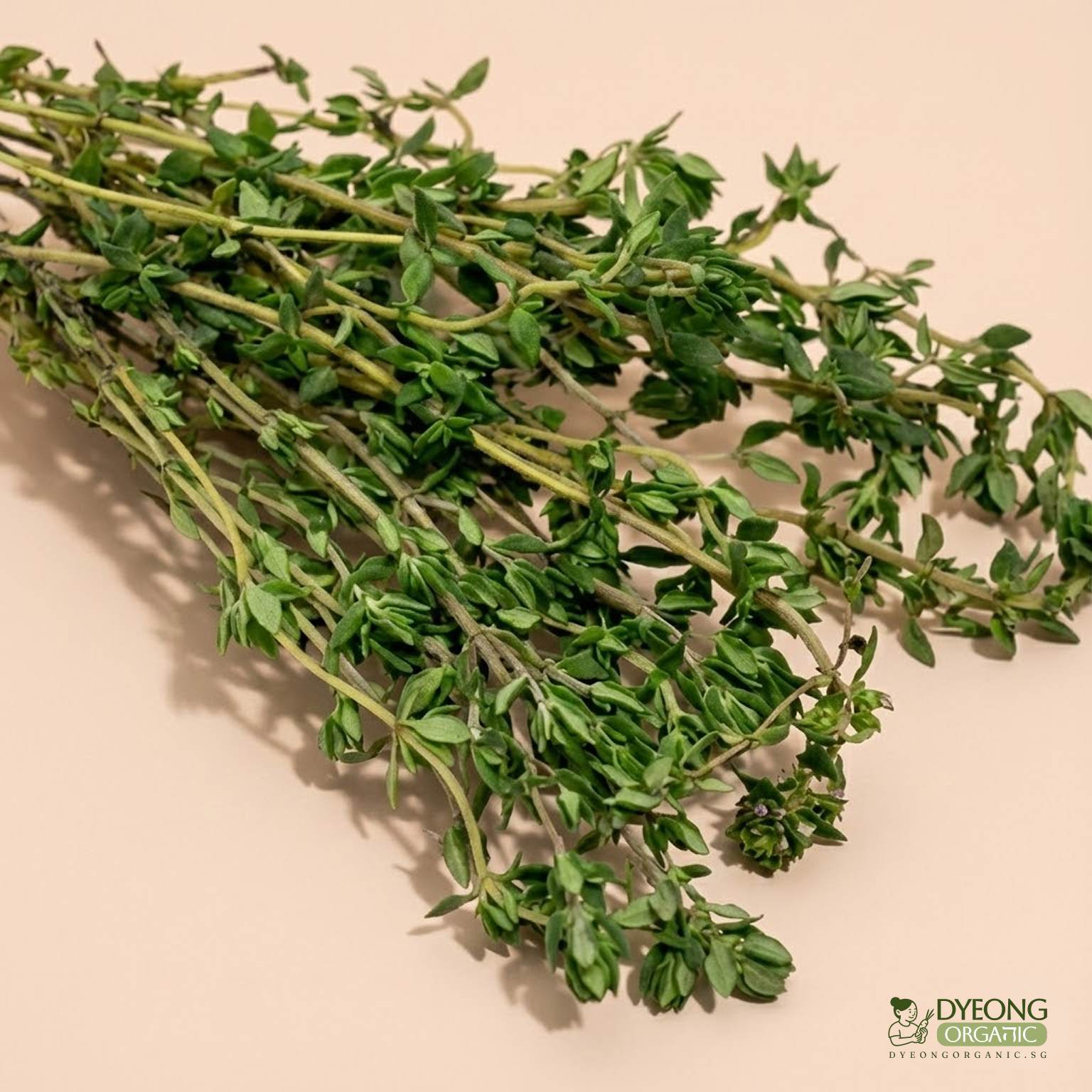 Organic Herbs - Thyme (25g) Australia