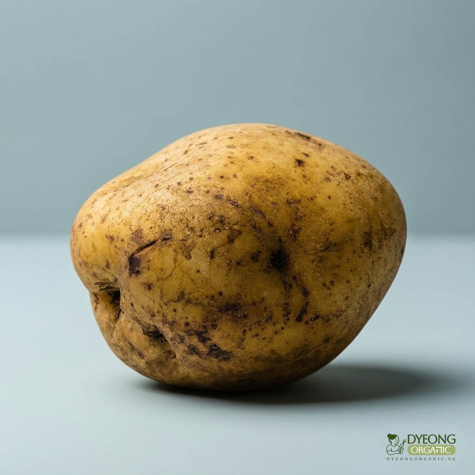 Organic Potato - Dutch Cream (500g) Australia