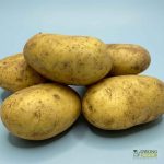 Organic Potato - Baby (250g) Australia