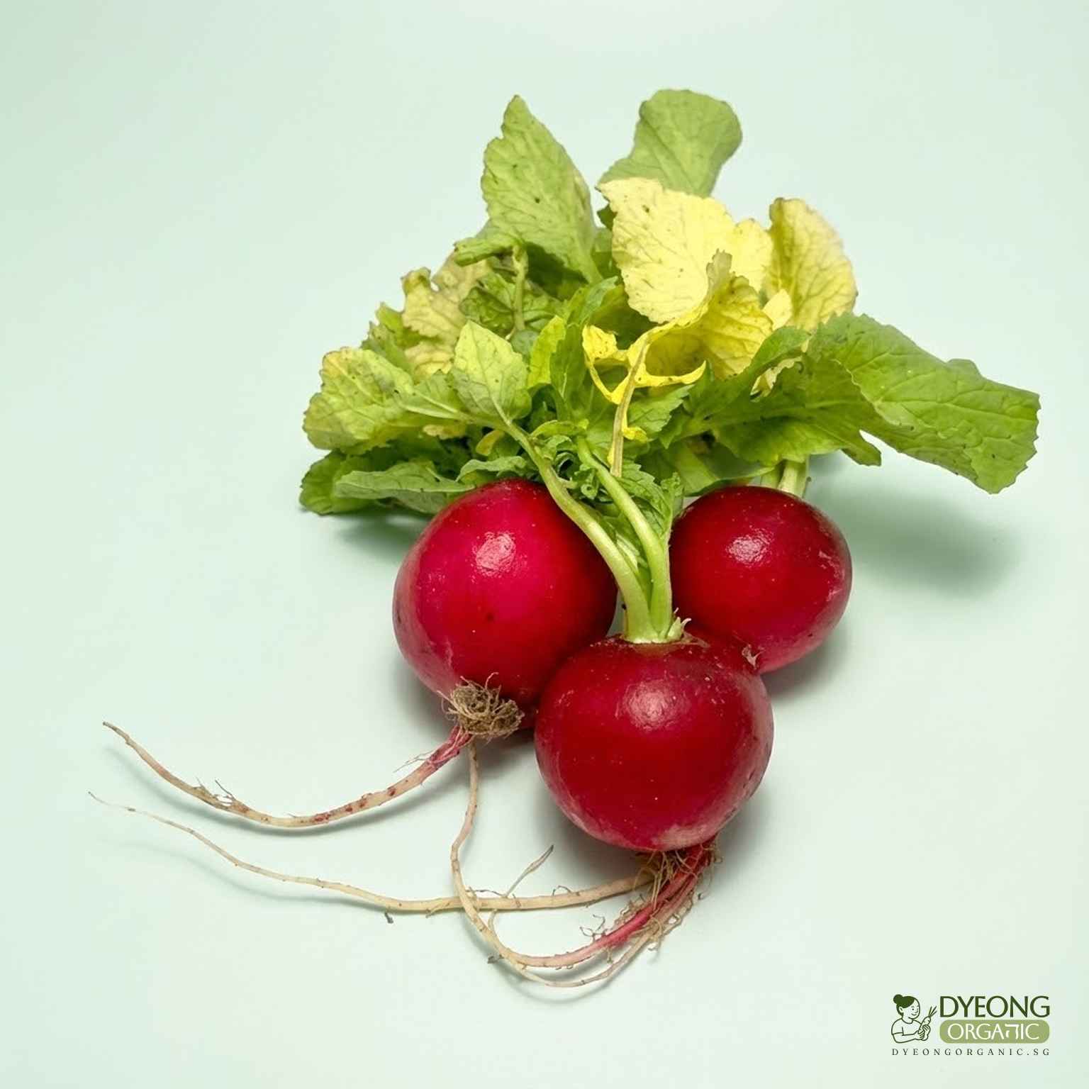 Organic Radish (150g) Australia