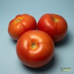 Organic Tomato (250g) Australia