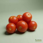 Organic Tomato - Cherry (250g) Australia