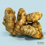Organic Turmeric Root (100g) Australia