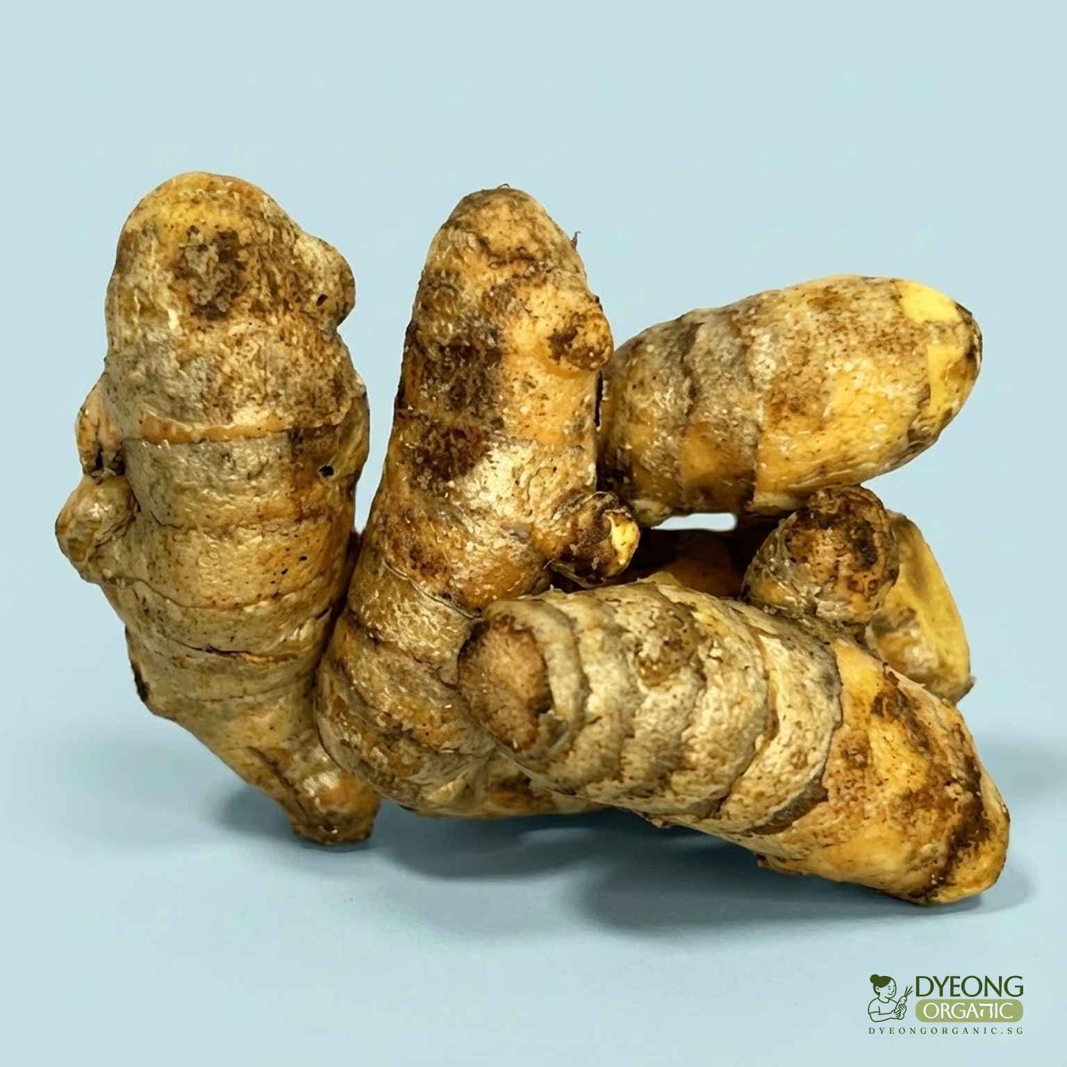 Organic Turmeric Root (100g) Australia