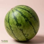Organic Melon - Watermelon (1kg-cut) Australia